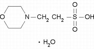 吗啉乙磺酸