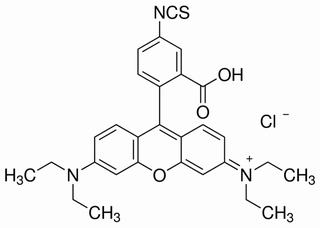 异硫氰酸玫瑰红B