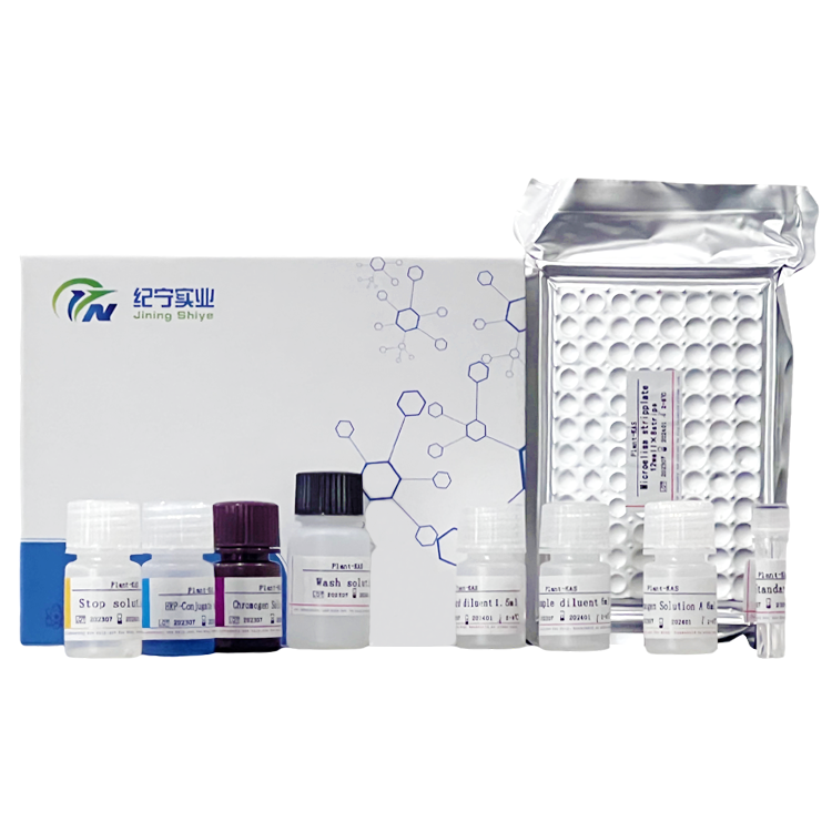 大鼠谷氨酸受体1(GluR1)ELISA试剂盒