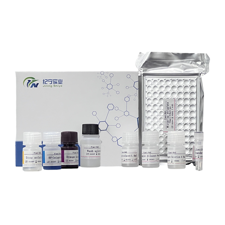 大鼠含NLR家族Pyrin域蛋白1(NLRP1)ELISA试剂盒