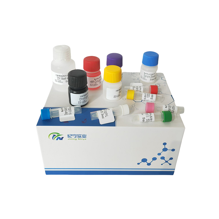 人趋化因子C-C-基元配体3样蛋白1(CCL3L1)ELISA试剂盒