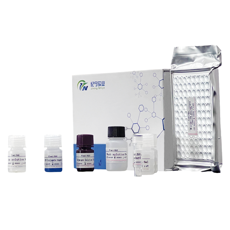 人白介素2受体(IL-2R)ELISA试剂盒
