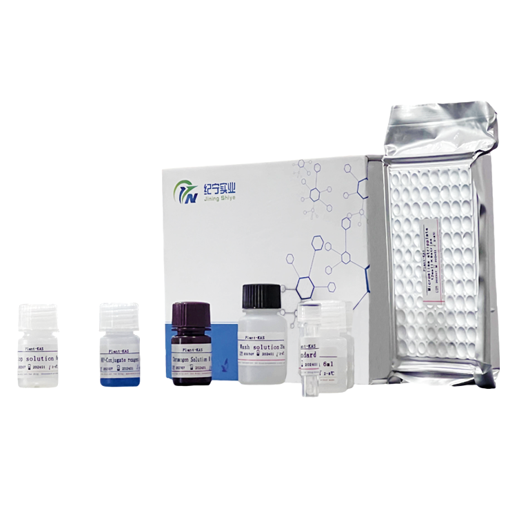 小鼠Caspase-1p20(Caspase-1p20)ELISA试剂盒