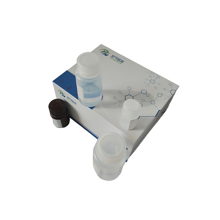 甲酸脱氢酶(FDH)活性测定试剂盒微板法/96样