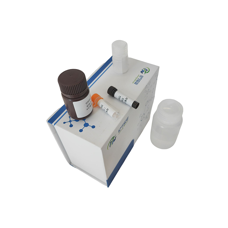 5'-核苷酸酶活性检测试剂盒可见分光光度法/50T