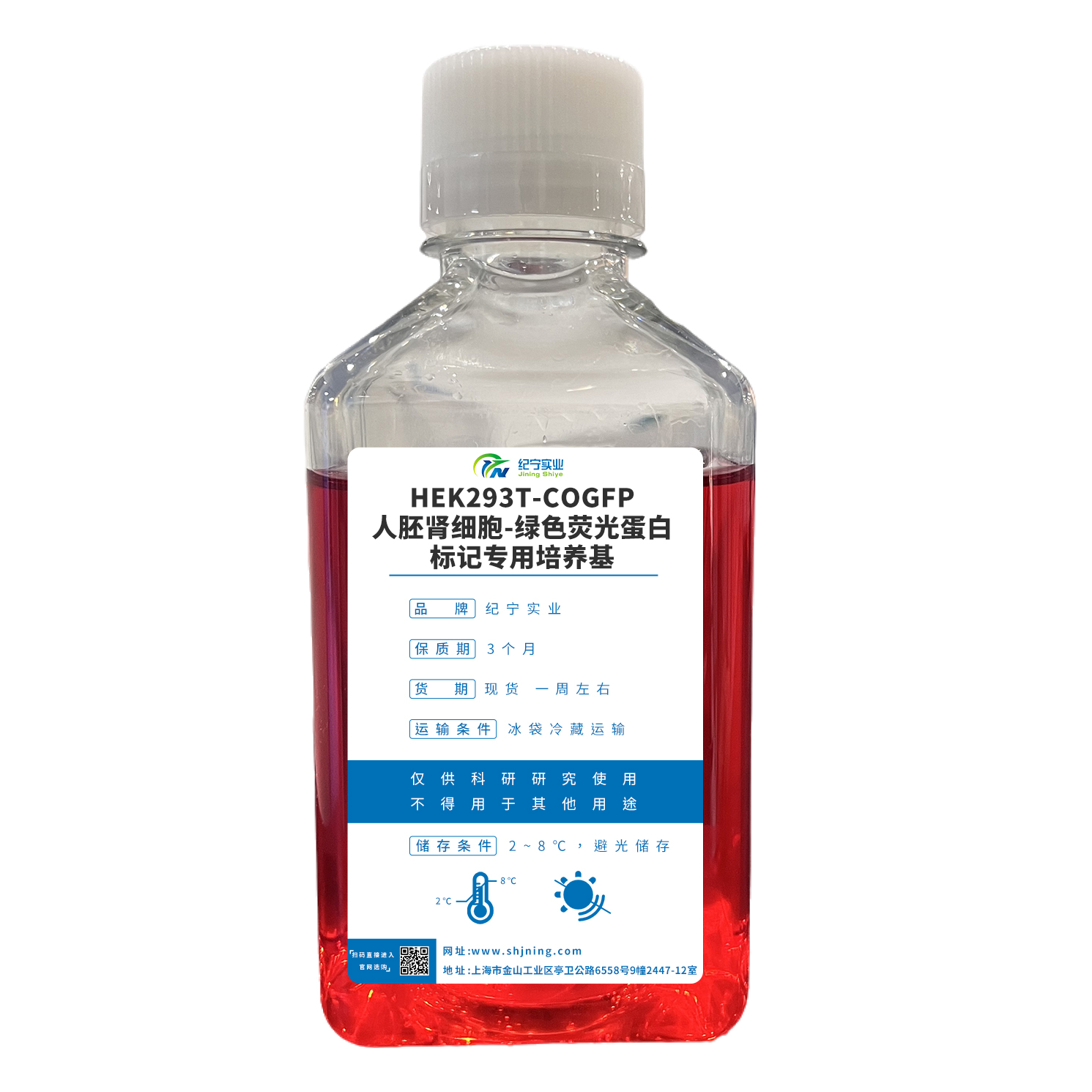 HEK293T-COGFP人胚肾细胞-绿色荧光蛋白标记专用培养基