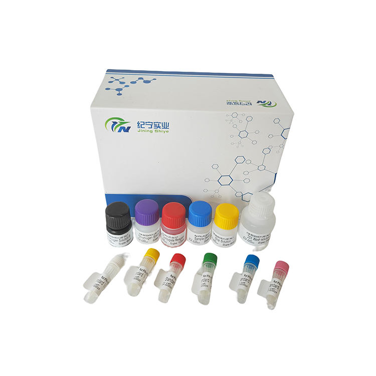 鱼增殖细胞核抗原抗体（PCNA）ELISA试剂盒