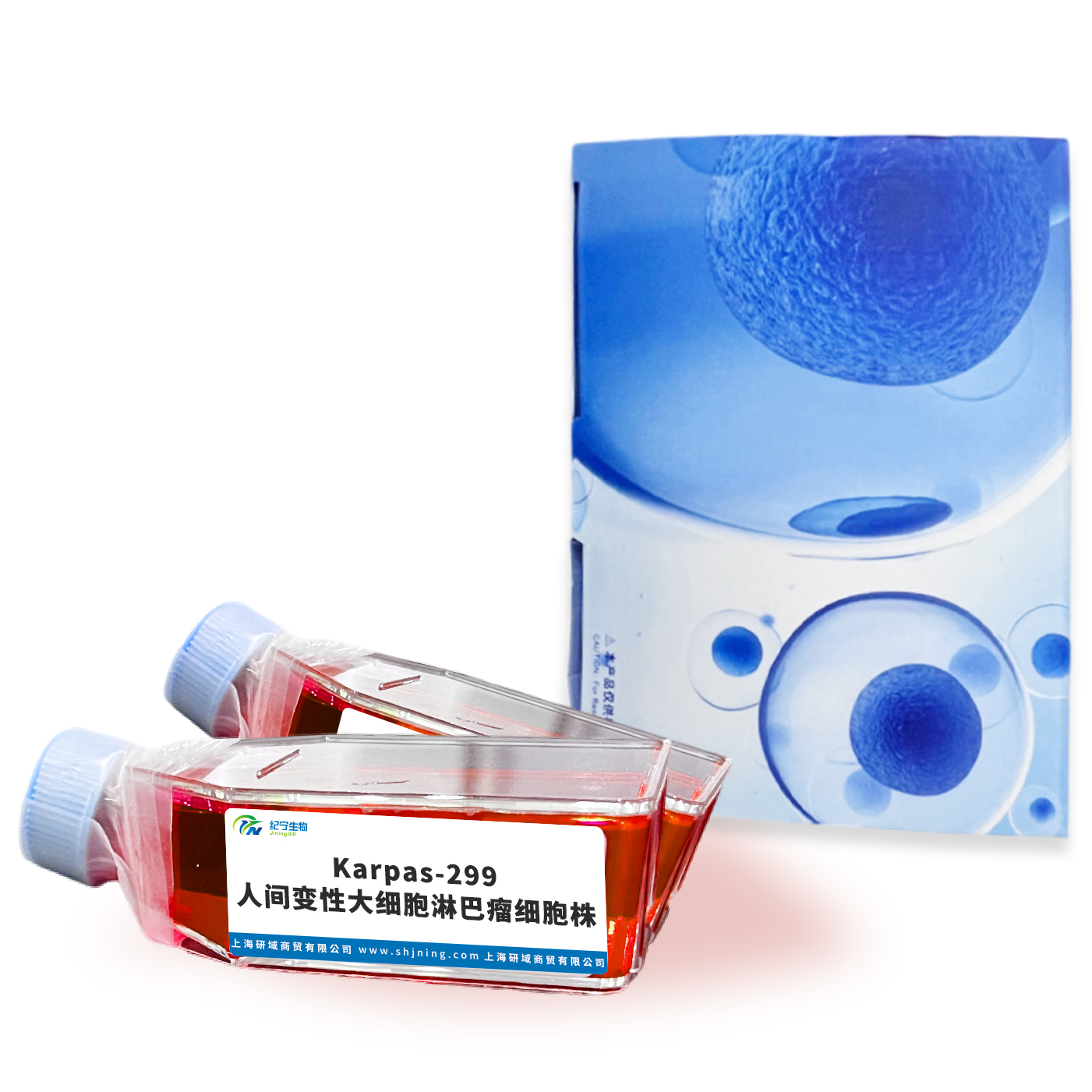 Karpas-299人间变性大细胞淋巴瘤细胞株