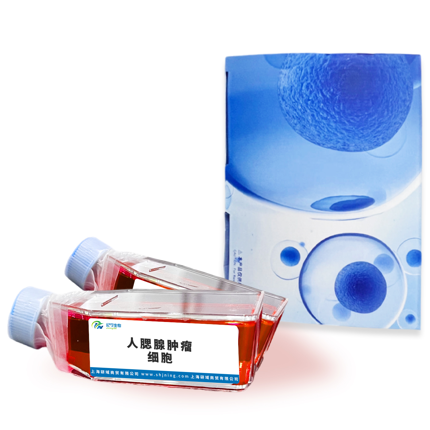 人腮腺肿瘤细胞