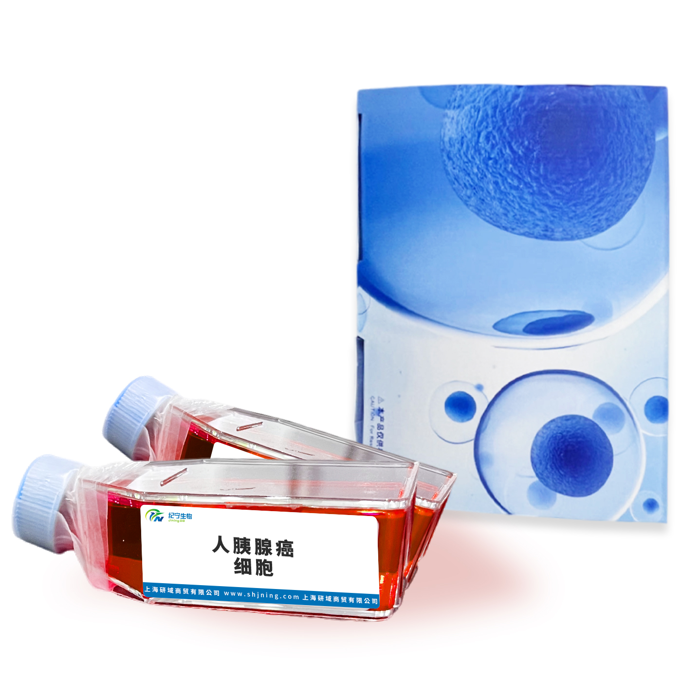 人胰腺癌细胞