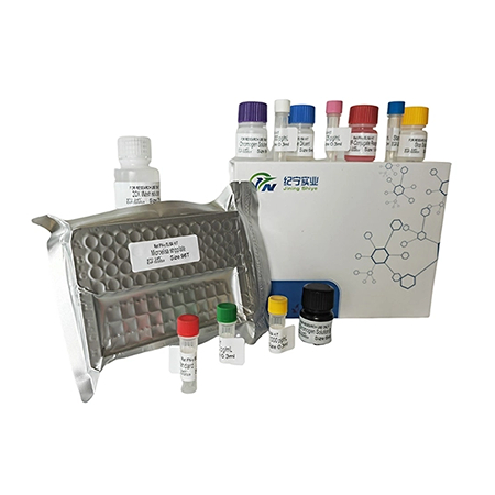 PCR试剂盒