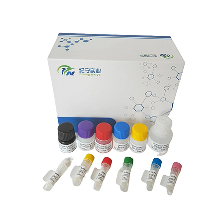 人细胞色素P45011B1(CYP11B1)ELISA试剂盒